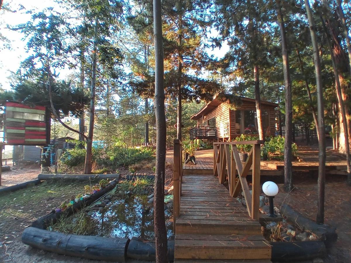 Lodge Terra Mar Pichilemu Exteriér fotografie