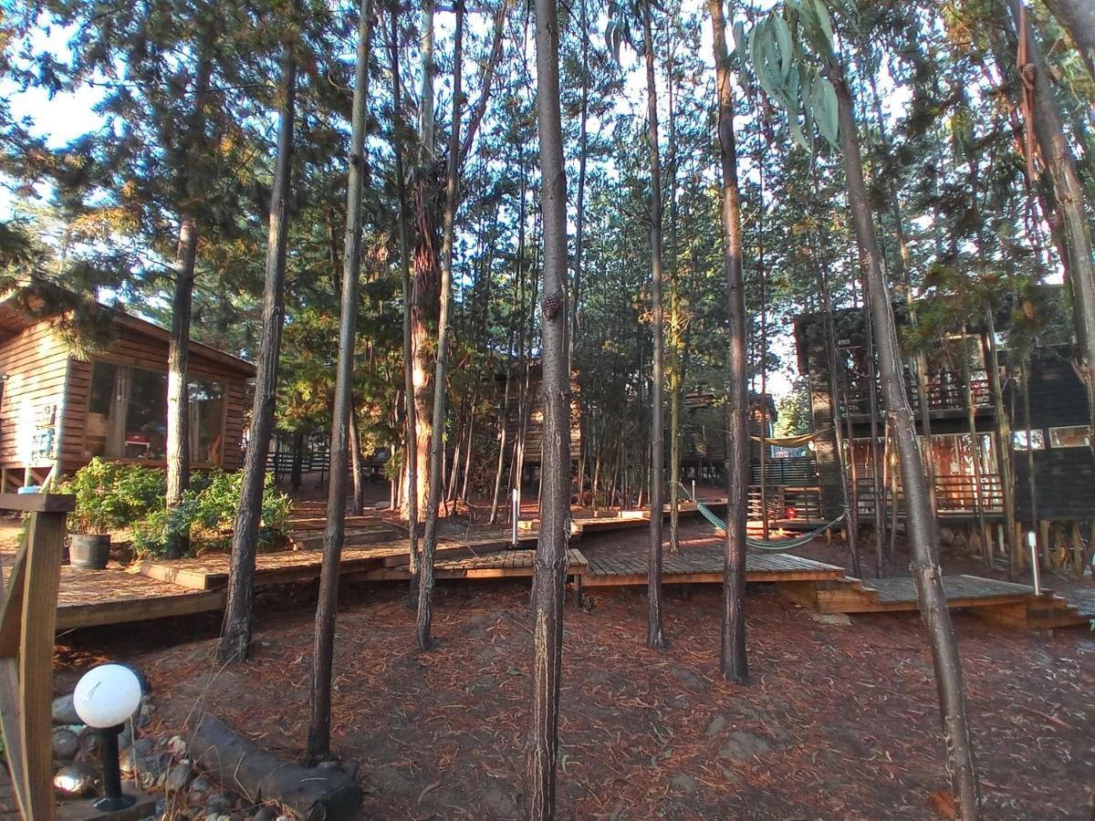 Lodge Terra Mar Pichilemu Exteriér fotografie